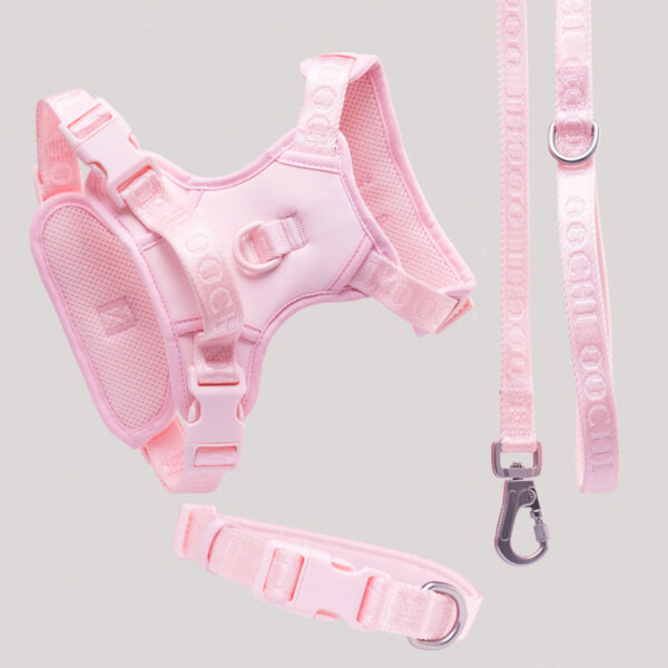 Regular Blush Bundle